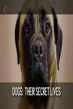 Watch Dogs: Their Secret Lives Solarmovie