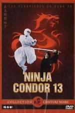 Watch Ninjas Condors 13 Solarmovie
