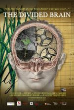Watch The Divided Brain Solarmovie