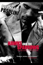 Watch The Hawks and the Sparrows Solarmovie