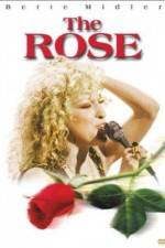 Watch The Rose Solarmovie
