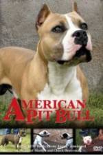 Watch American Pit Bull Solarmovie