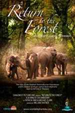 Watch Return to the Forest Solarmovie