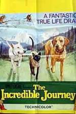 Watch The Incredible Journey Solarmovie