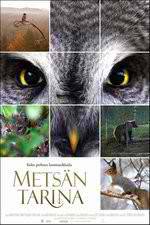 Watch Tale of a Forest Solarmovie