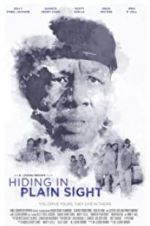 Watch Hiding in Plain Sight Solarmovie