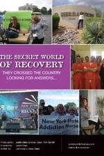 Watch The Secret World of Recovery Solarmovie