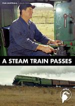 Watch A Steam Train Passes (Short 1974) Solarmovie