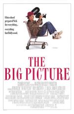 Watch The Big Picture Solarmovie