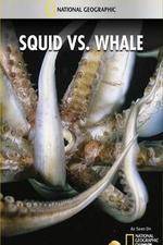 Watch National Geographic Wild - Squid Vs Whale Solarmovie