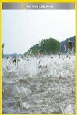 Watch National Geographic Hooked Carp Invasion Solarmovie