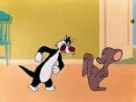 Watch Who\'s Kitten Who? (Short 1952) Solarmovie