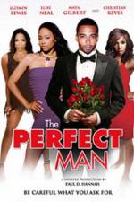 Watch The Perfect Man Solarmovie