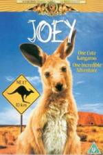 Watch Joey Solarmovie