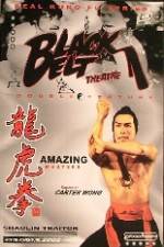 Watch Shao Lin ban pan tu Solarmovie