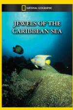 Watch National Geographic Jewels of the Caribbean Sea Solarmovie