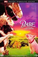 Watch Babe Solarmovie