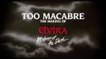 Watch Too Macabre: The Making of Elvira, Mistress of the Dark Solarmovie
