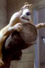 Watch Creature Comforts Solarmovie