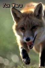 Watch Fox Wars Solarmovie