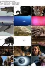 Watch History Channel Evolve: Sex Solarmovie