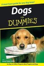 Watch Dogs for Dummies Solarmovie