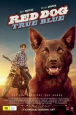 Watch Red Dog True Blue Solarmovie