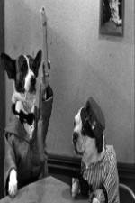 Watch The Two Barks Brothers Solarmovie