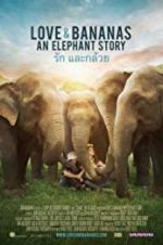 Watch Love & Bananas Solarmovie