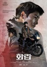 Watch Hopeless Solarmovie