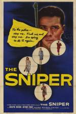 Watch The Sniper Solarmovie