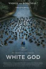 Watch Fehr isten Solarmovie