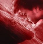 Watch We All Poop: All the Blood Solarmovie