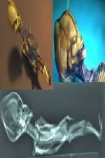 Watch Desert of the Skeletons Solarmovie