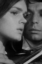 Watch Pavoncello Solarmovie