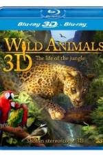Watch Wild Animals - The Life of the Jungle 3D Solarmovie
