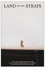 Watch Land of the Strays (Short 2018) Solarmovie