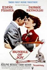 Watch Bundle of Joy Solarmovie