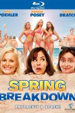 Watch Spring Breakdown Solarmovie