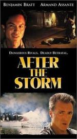 Watch After the Storm Solarmovie