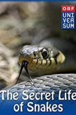 Watch The Secret Life of Snakes Solarmovie