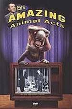 Watch Ed's Amazing Animal Acts Solarmovie