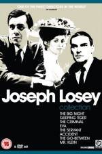 Watch The Big Night Solarmovie