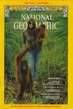 Watch Search for the Great Apes Solarmovie
