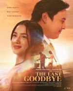 Watch The Last Goodbye Solarmovie
