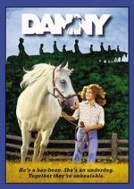 Watch Danny Solarmovie
