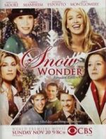 Watch Snow Wonder Solarmovie