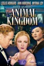 Watch The Animal Kingdom Solarmovie