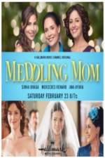 Watch Meddling Mom Solarmovie