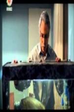 Watch The Disgraced Solarmovie